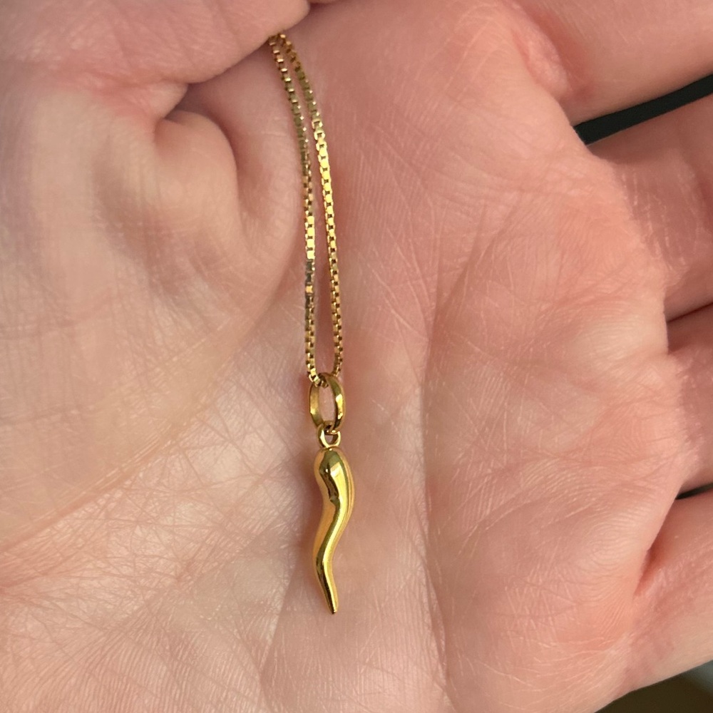 Italian horn gold necklace